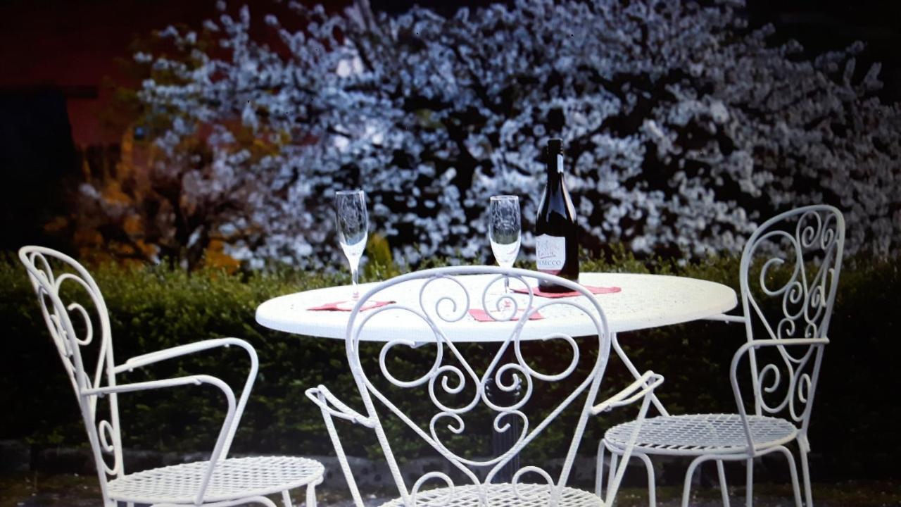 Villa Maja Markdorf Extérieur photo